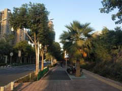 -五缘湾湿地公园