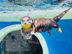 -成都浩海立方海洋公园