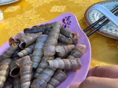 -食神鱼头佛跳墙(百子湾旗舰店)