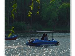 -上海共青森林公园