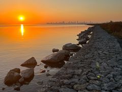 -合肥滨湖国家森林公园