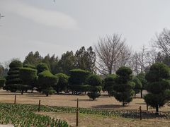 -北京世界公园