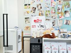 -爱妮康宠物医院·干细胞免疫细胞·肿瘤·心脏(张江店)