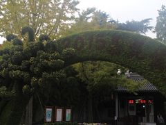 -汇龙潭