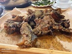 -活鱼馆(宜兴埠店)