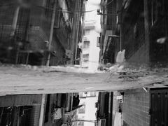 -福田农产品批发市场有限公司蔬菜交易区