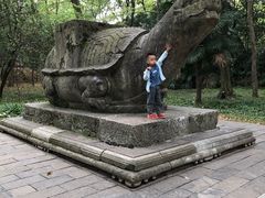 -灵谷景区