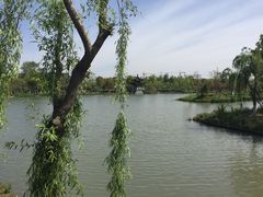 -东台西溪天仙缘景区