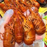 当你看到这！我已经吃上了秋天第一口羊蝎子