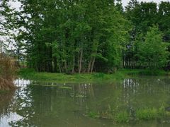 -桤木河湿地公园