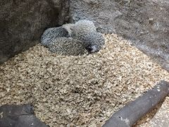 -青青世界