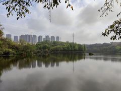 -重庆彩云湖湿地公园