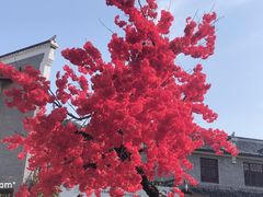 -木兰云雾山