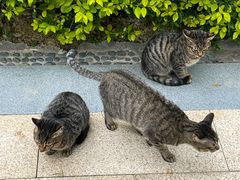 -万达广场(南宁青秀店)