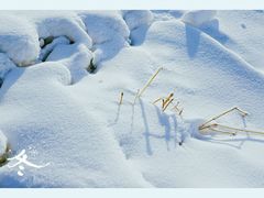 -蓟县盘山滑雪场