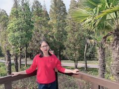 -上海长兴岛郊野公园