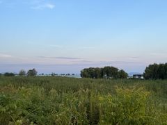 -合肥滨湖国家森林公园