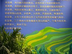 -贵凤凰贵州米粉(望京店)