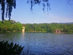 -紫霞湖公园
