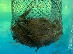 -SHRIMP CLUB万东餐饮钓虾·清吧