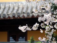 -龙华寺
