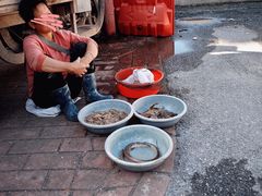 -南沙十九涌渔人码头-南门