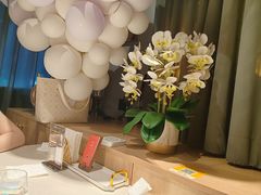 -迦南苑·新派青岛菜·生日纪念日主题餐厅