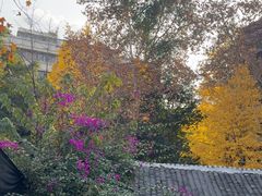 -院8里·少城记忆老川菜(宽窄巷子店)