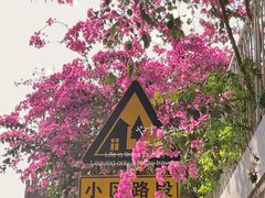 -小南山公园