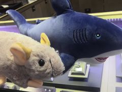 -爱玩嘉年华(江北一店)
