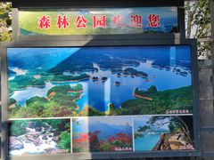 -广州市流溪河国家森林公园