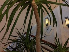 -益健·足疗汗蒸SPA(芙蓉广场店)