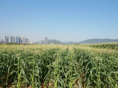 -光明小镇欢乐田园