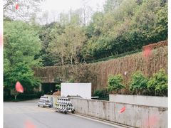 -中国湿地博物馆