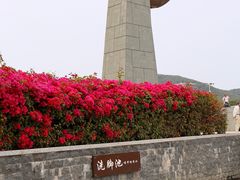 -青澳湾北回归线广场