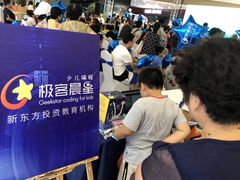 -极客晨星少儿编程