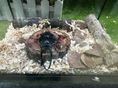 -上海昆虫博物馆