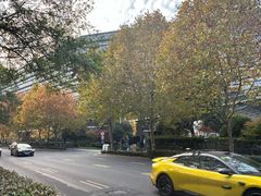 -阿里中心·杭州Z空间