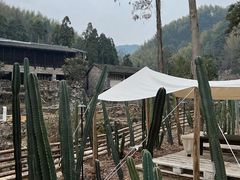 -MOJ coffee(瓯海泽雅水碓坑店)