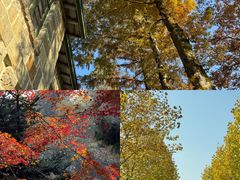 -莫干山风景区