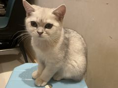 -筋骨堂热敷推拿按摩(翠华路店)