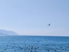 -大理洱海