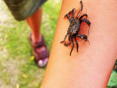 -上海吴淞炮台湾国家湿地公园