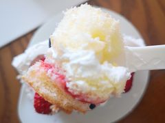 -幸福鸟动物奶油生日蛋糕(军校店)