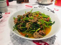 -壹盏灯(惠农店)