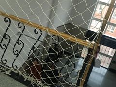 -北京市海淀外国语实验学校