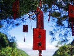 -苍山感通索道