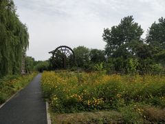 -溱湖国家湿地公园