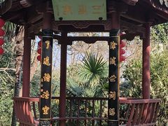 -杭州西湖风景名胜区-三生石