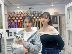 -青奢宠物·青奢猫舍